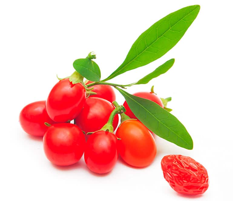 Les Baies De Goji Regulateur Du Metabolisme Du Glucose Diabetemagazine